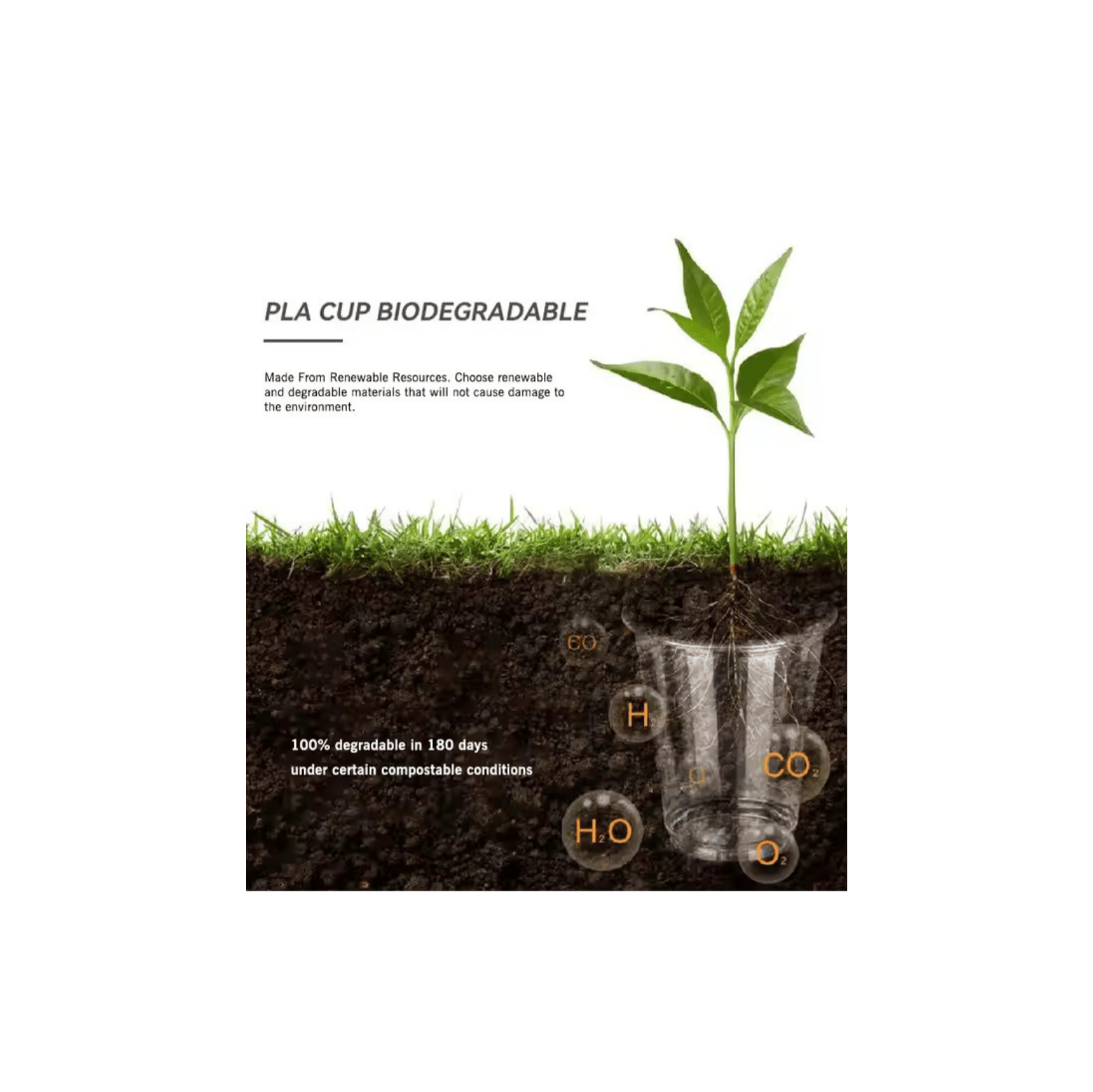 Biodegradable eco-friendly cups that are customizable for venues and events Biodegradable eco-friendly cups that are customizable for venues and events